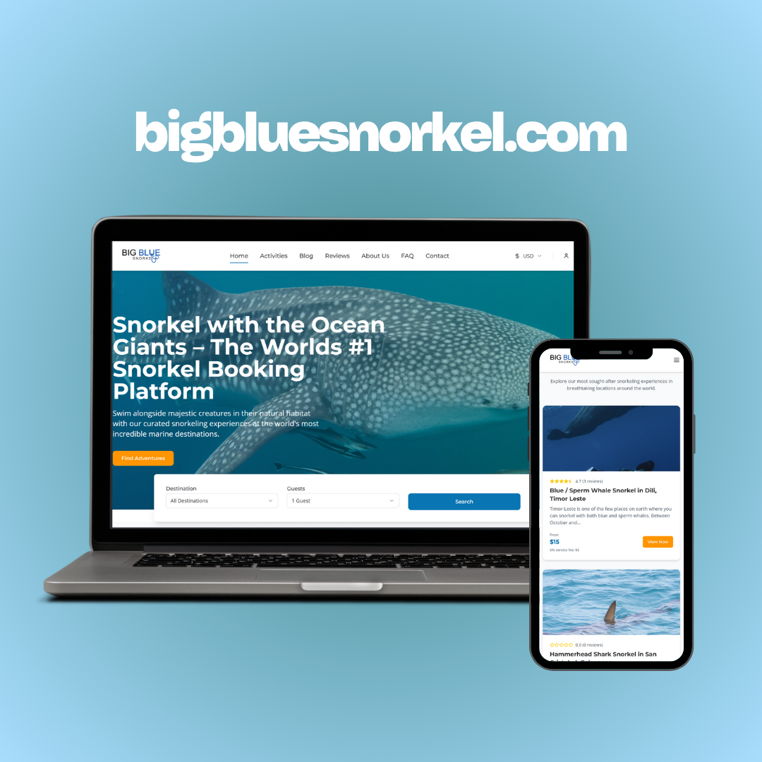 Big Blue Snorkel Website